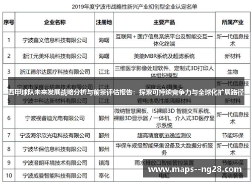 西甲球队未来发展战略分析与前景评估报告：探索可持续竞争力与全球化扩展路径